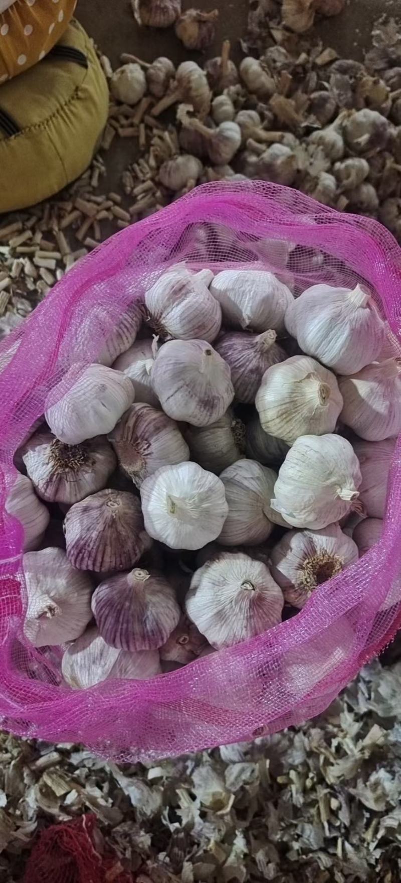 精品大蒜