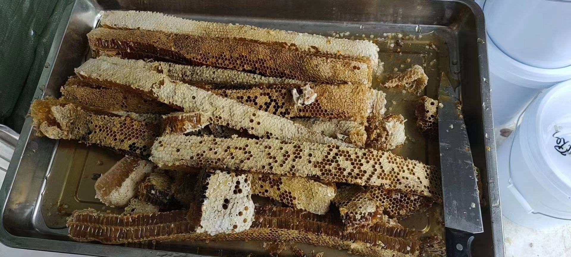 新鲜蜂蜜从蜂巢中滴落