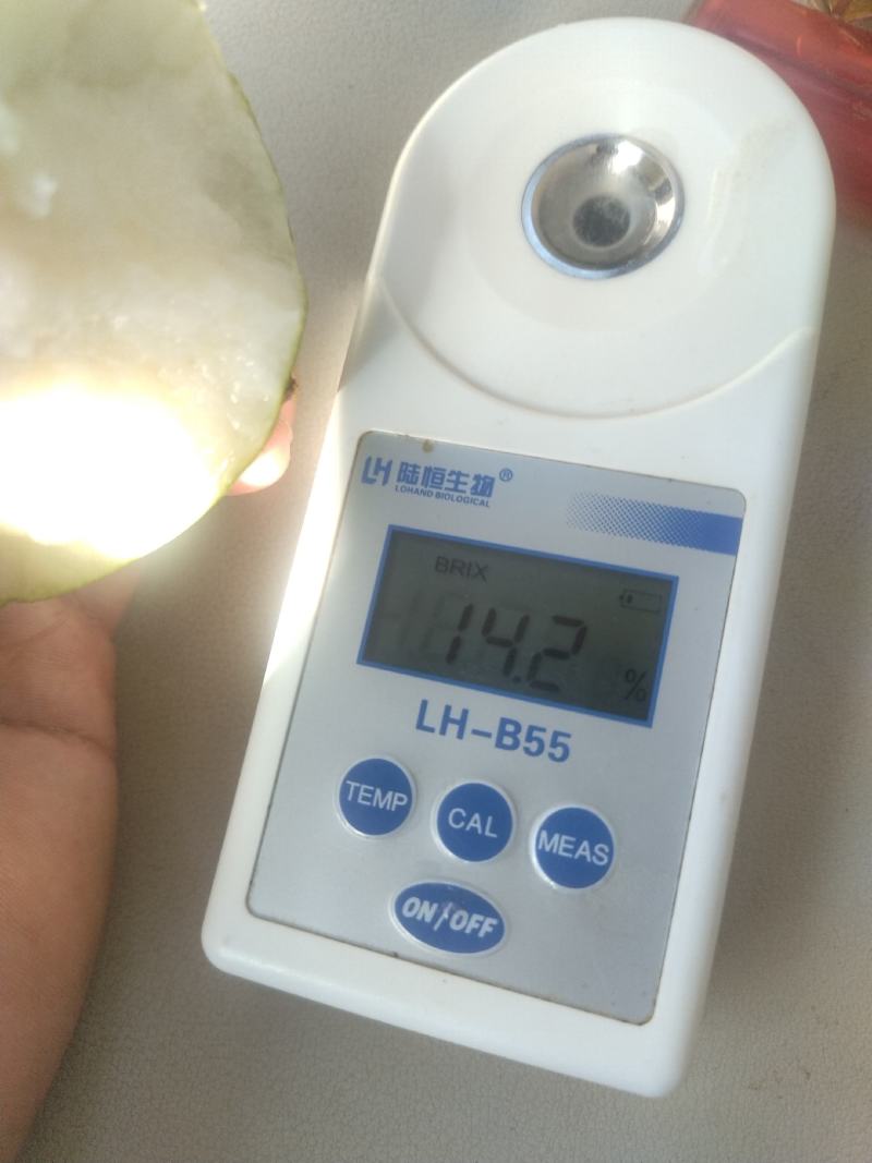 八宝丹翠冠梨大量上市中！
