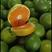 高山蜜橘特早柑橘自产自销纯甜化渣对接电商团购平台为主