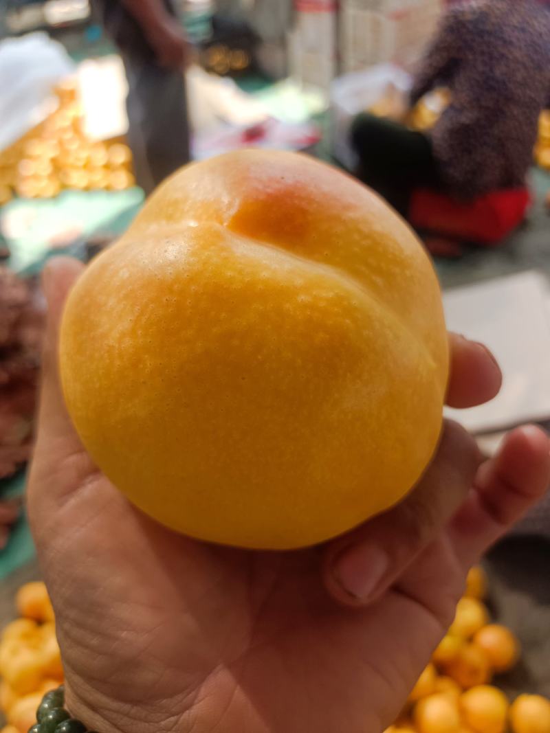 黄油桃