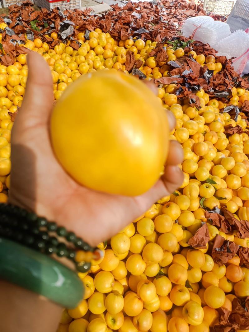 黄油桃