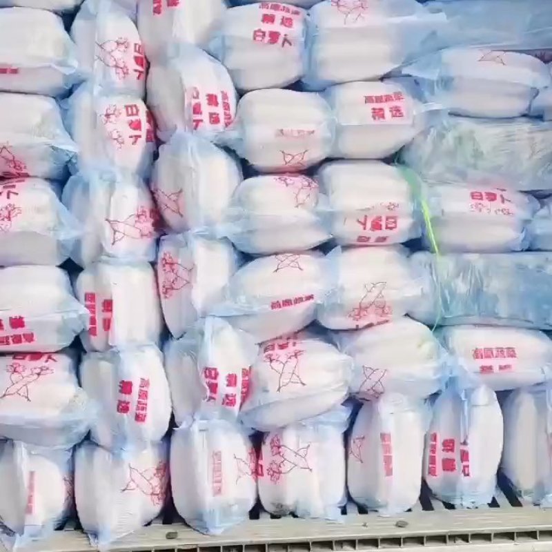 湖北枝江【白萝卜】精品市场货，电商货，工厂货。欢迎对接