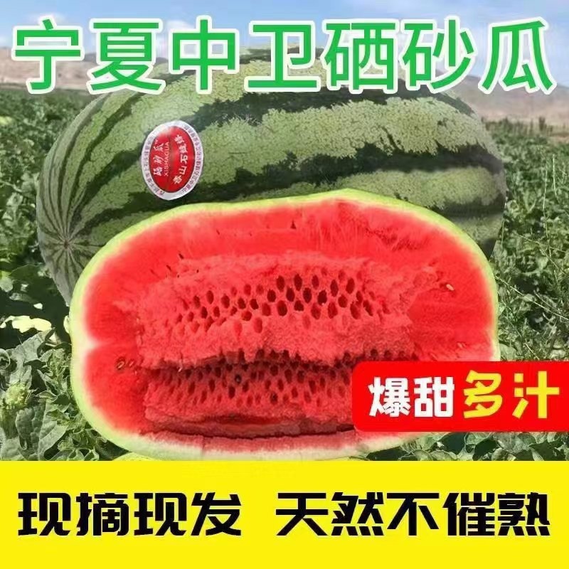 《精品》宁夏硒砂瓜石头瓜大量出货！甜度高产地实发