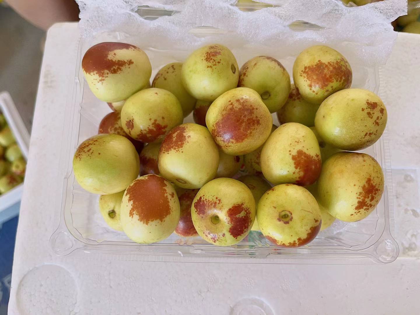 大荔青枣果实特写展示图