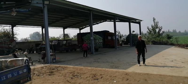 本地头茬麒麟西瓜，口感好，甜度正，现摘现发，真正一手货源