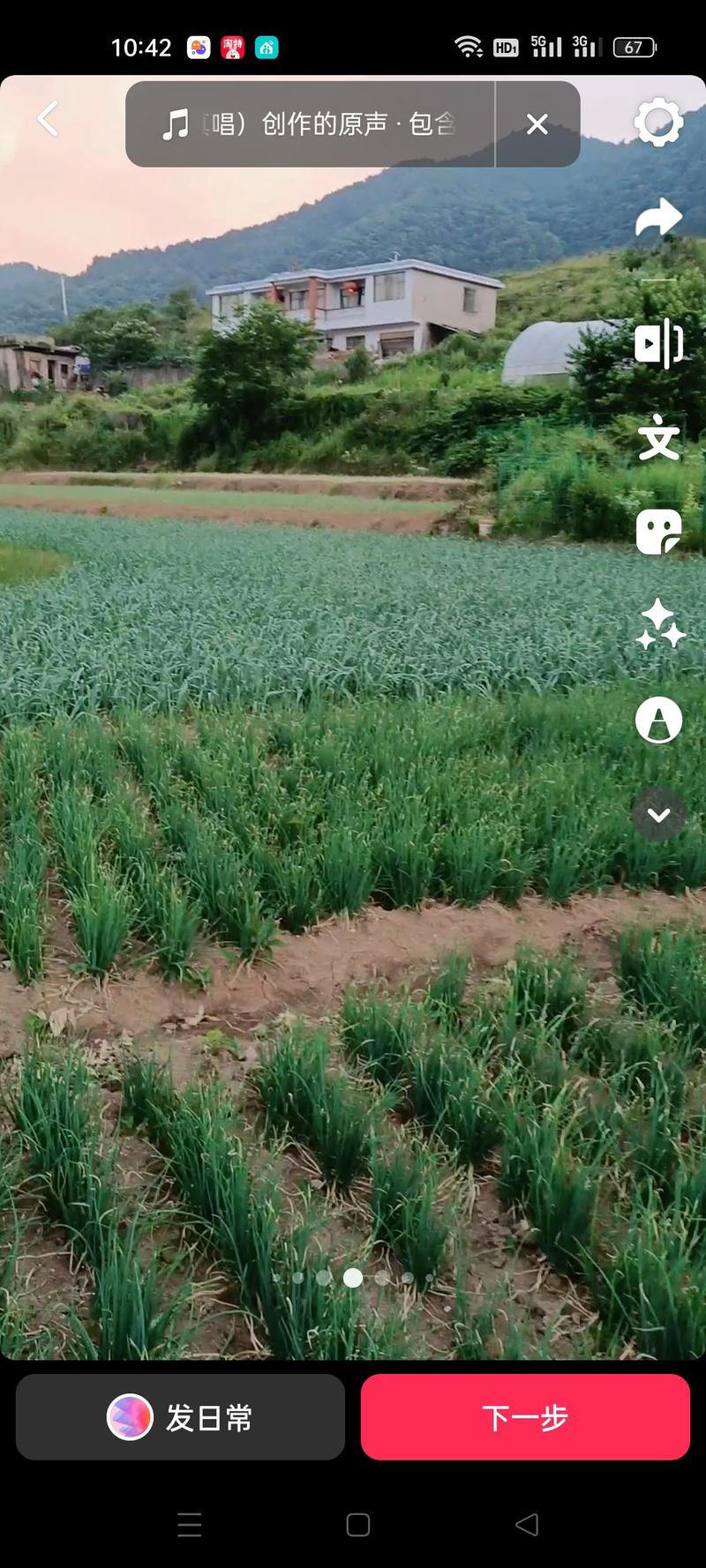 香菜，香葱，蒜苗