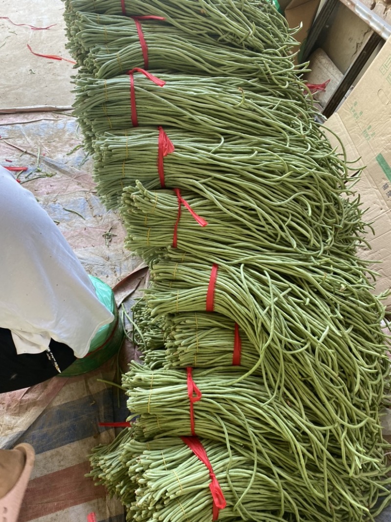 露地豆角大量上市，货源充足，实力供应各种渠道！