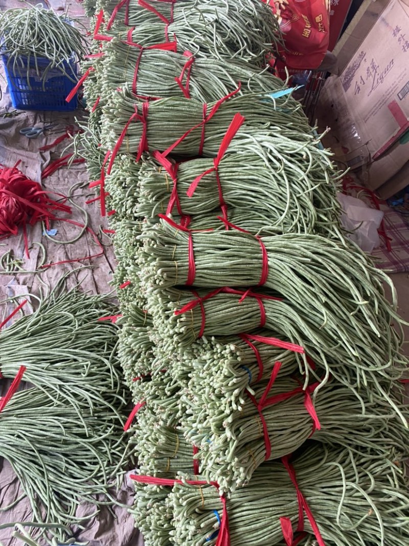 露地豆角大量上市，货源充足，实力供应各种渠道！