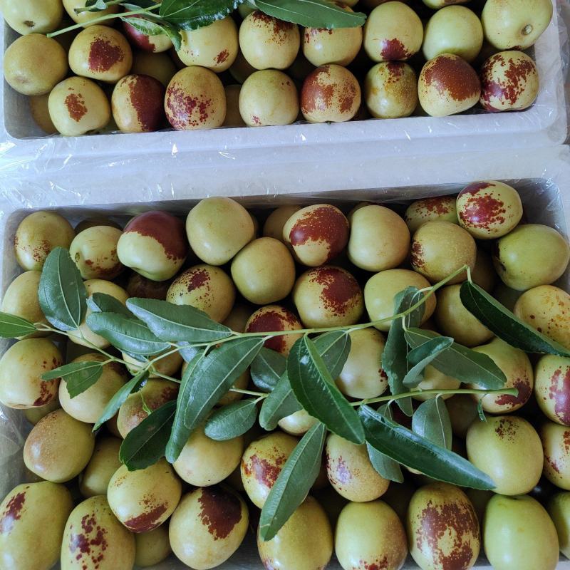 大荔冬枣