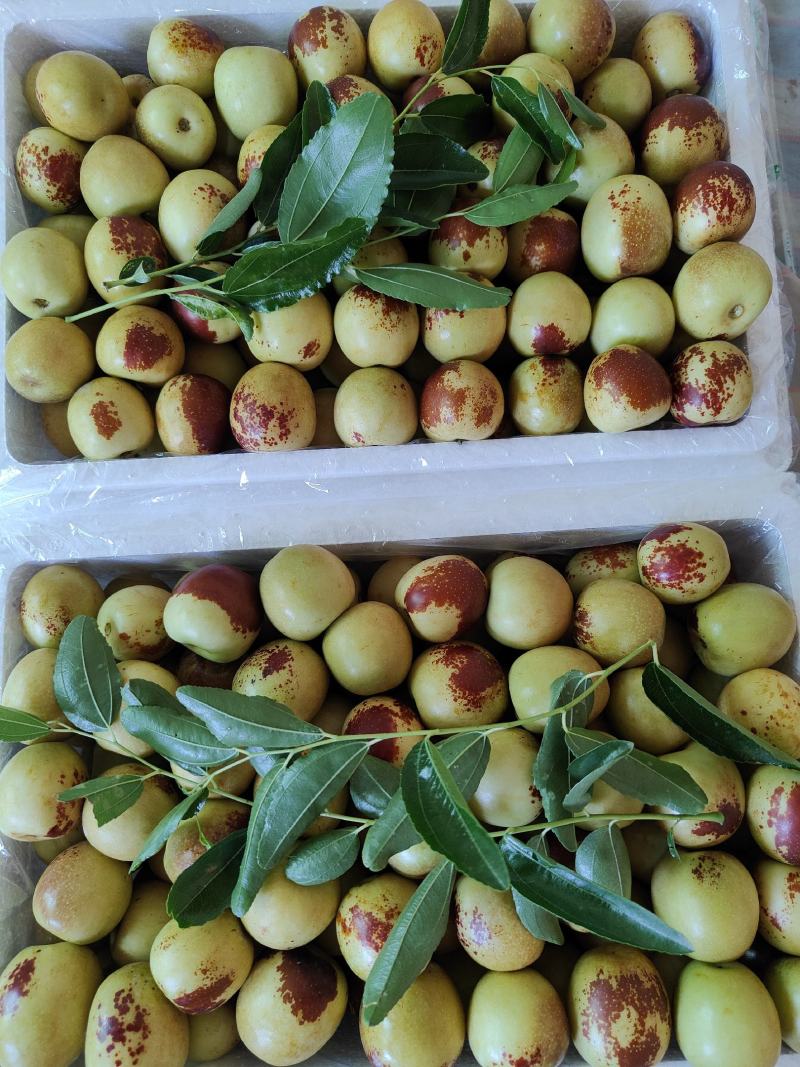 大荔冬枣