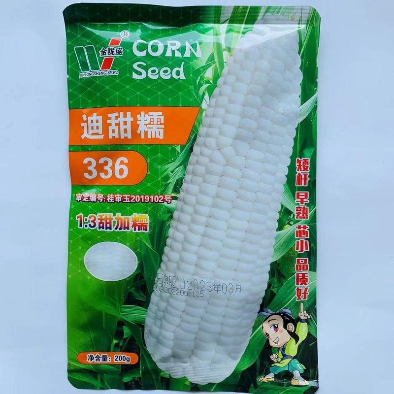 迪甜糯336糯玉米种子矮杆早熟白色甜加糯鲜食玉米种子
