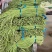 精品长豆角大量上市中，颜色油绿，条形直，无鼓子，货源充足