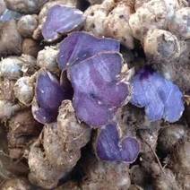 紫姜（黑姜）
