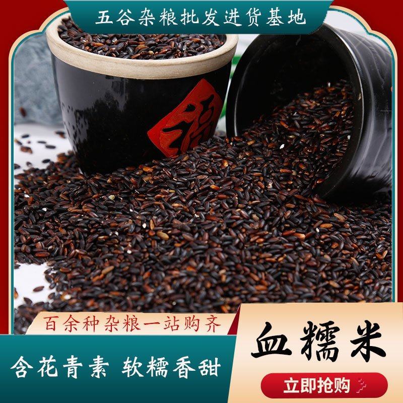 血糯米纯糯精选血糯米大量现货诚信经营可加工定制小包