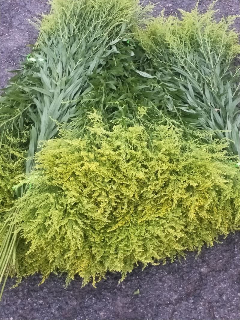 花乡