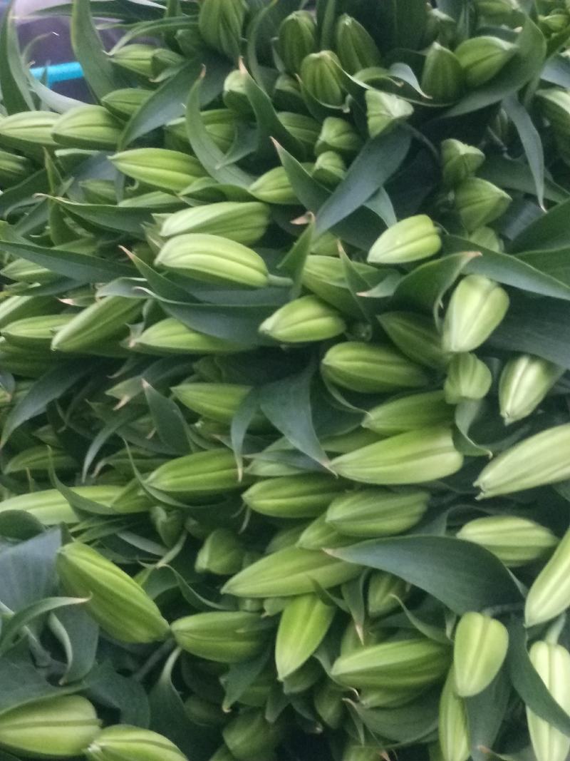花乡