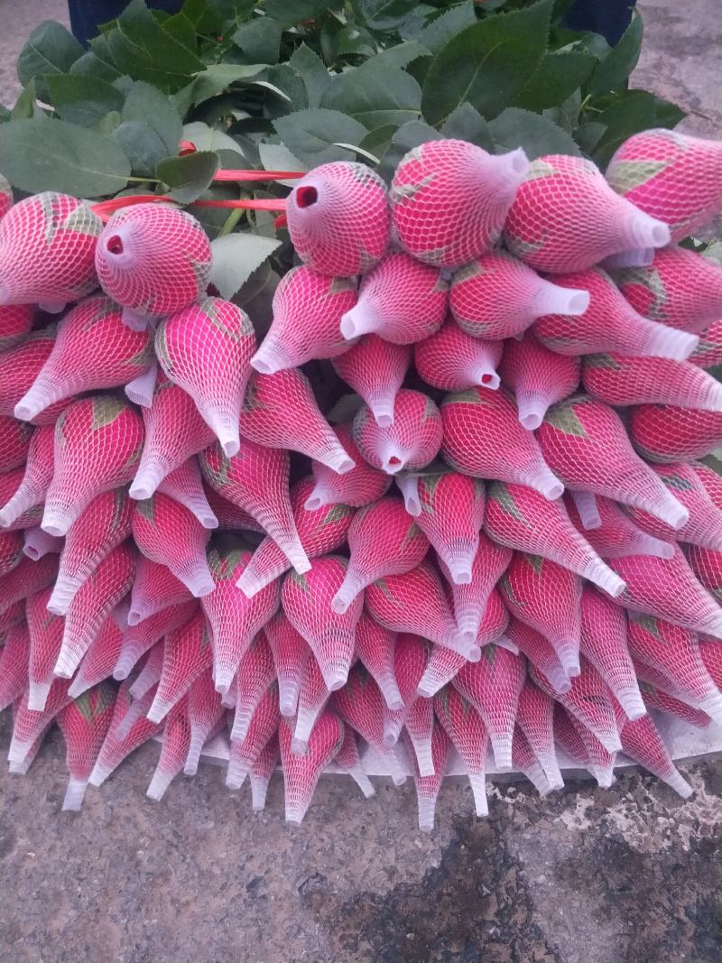 花乡