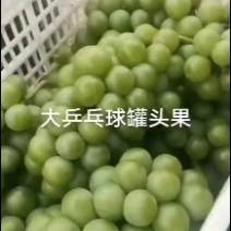 青乒乓球葡萄，罐头葡萄，颗粒大，口感好，价格美丽