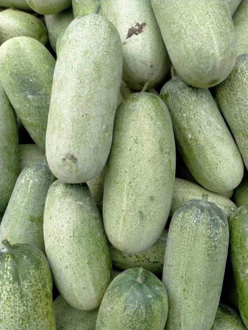 黄瓜
