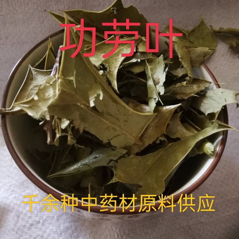 功劳叶，中药材功劳叶枸骨叶刺黄莲叶千余种中药材原料供应