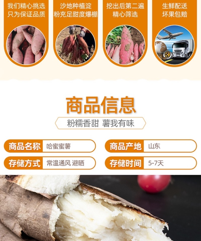 山东哈蜜冰糖薯新鲜白心蜜薯糖心红薯超甜农家自种沙地代发
