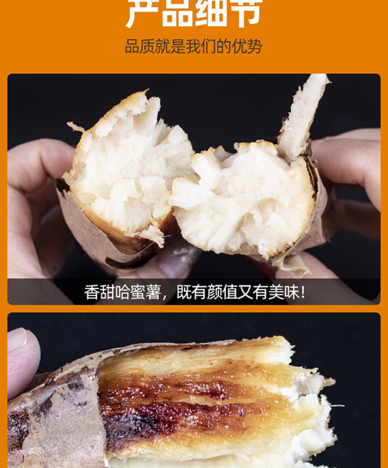 山东哈蜜冰糖薯新鲜白心蜜薯糖心红薯超甜农家自种沙地代发