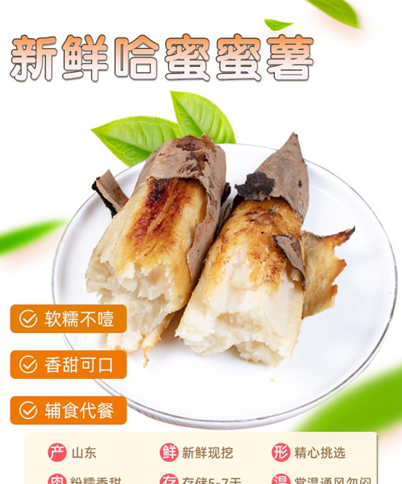 山东哈蜜冰糖薯新鲜白心蜜薯糖心红薯超甜农家自种沙地代发