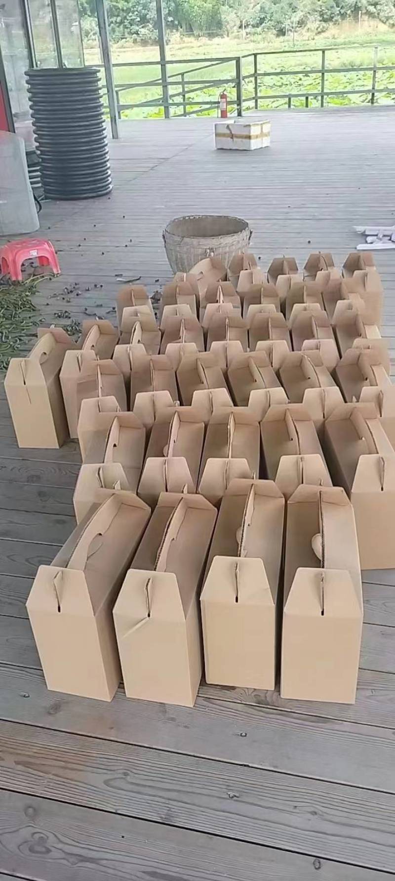新鲜莲蓬颗粒饱满现摘现法一手货源代发全国欢迎