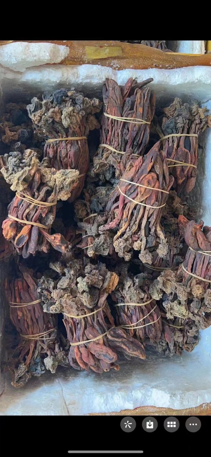 云南回春草干货，一件就包邮发货！