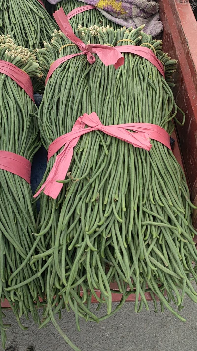 东北豇豆长豆十八豆陆地豇豆大量有货想要联系我