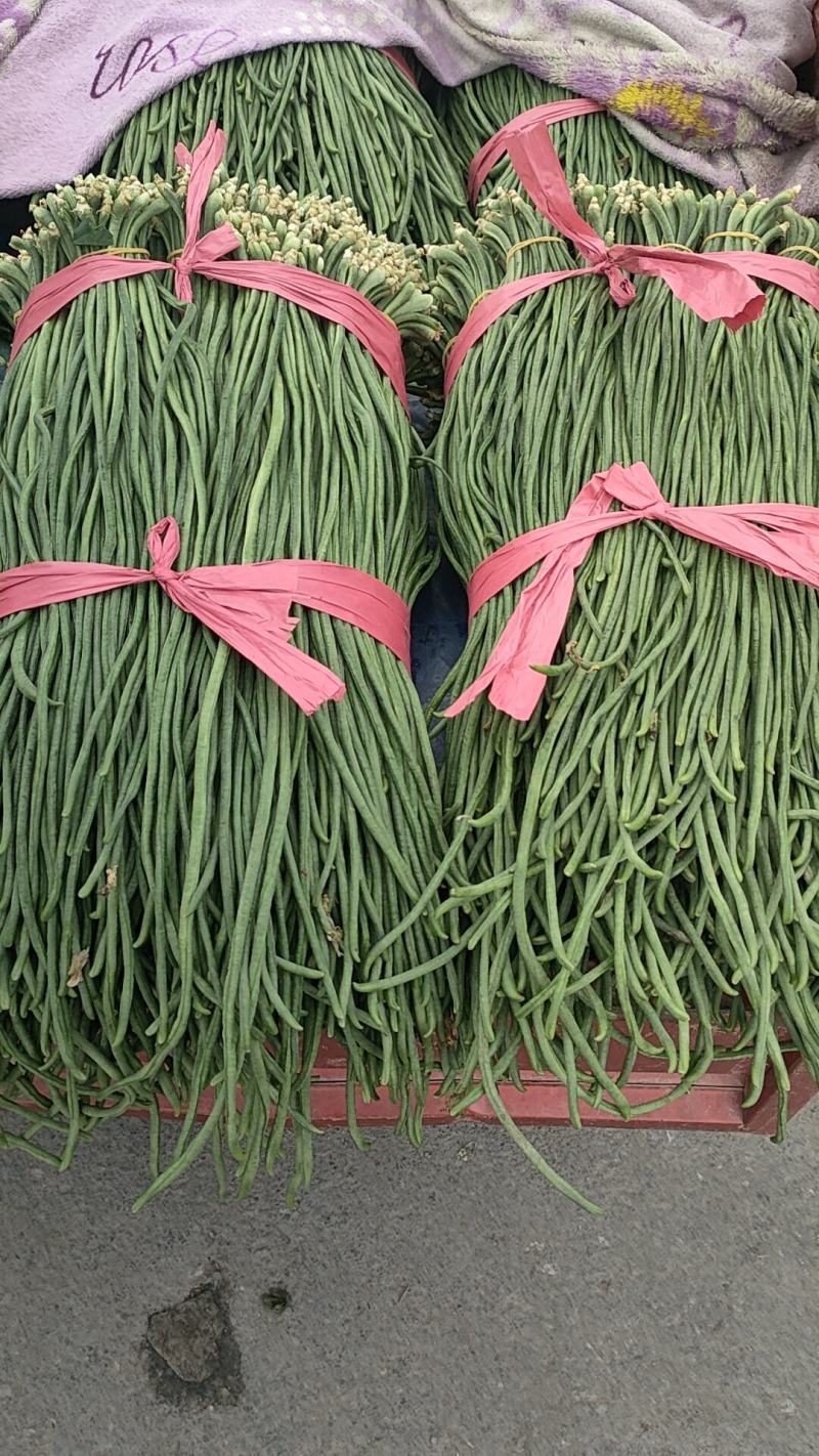 东北豇豆长豆十八豆陆地豇豆大量有货想要联系我