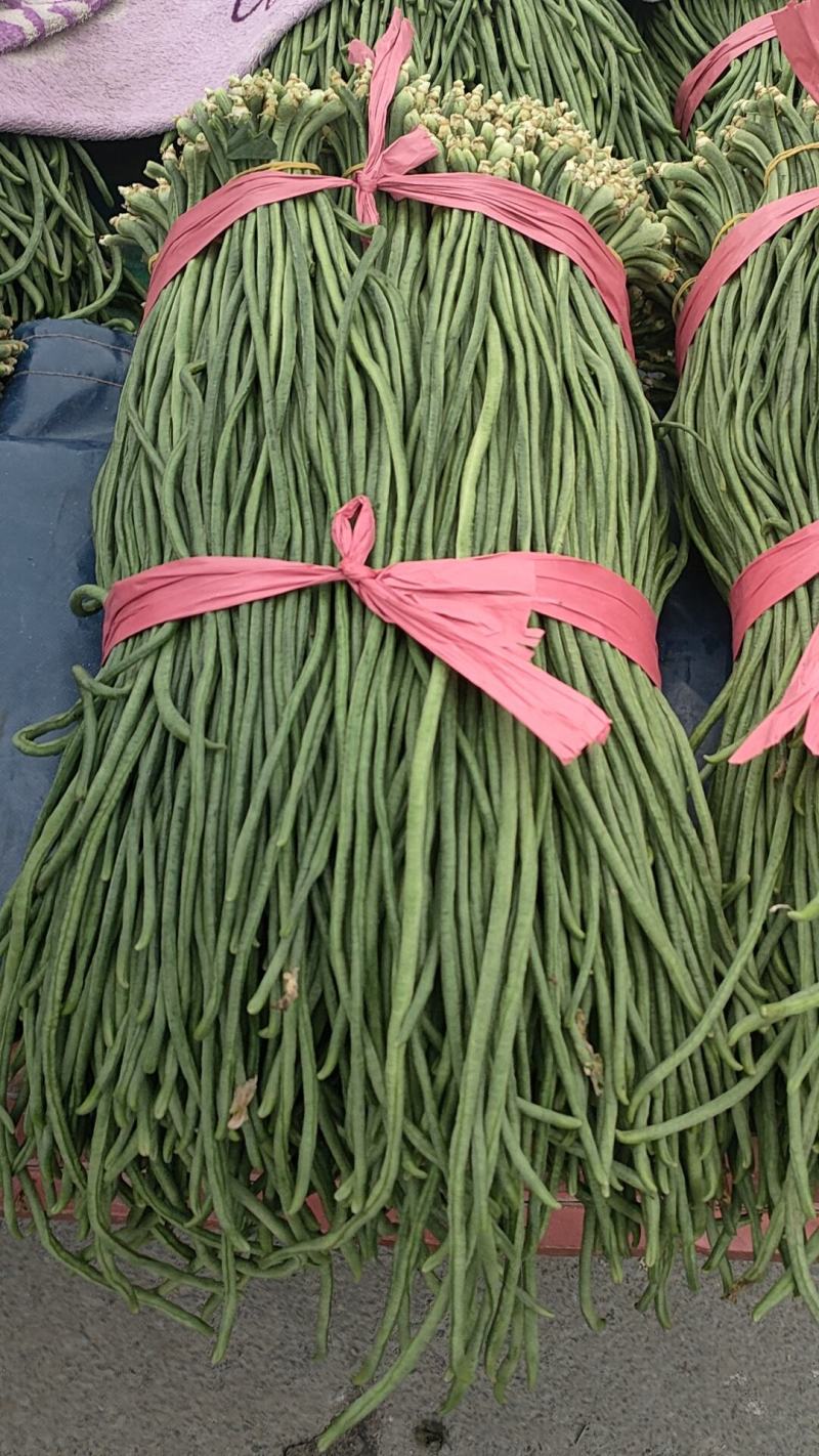 东北豇豆长豆十八豆陆地豇豆大量有货想要联系我