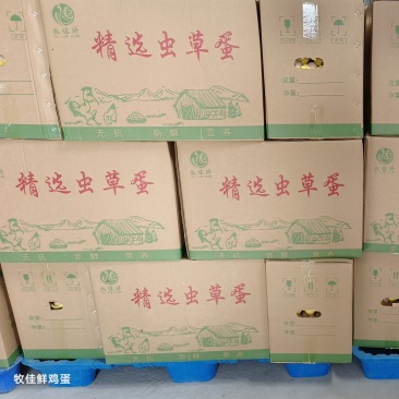 虫草蛋，检测证书，双色到位