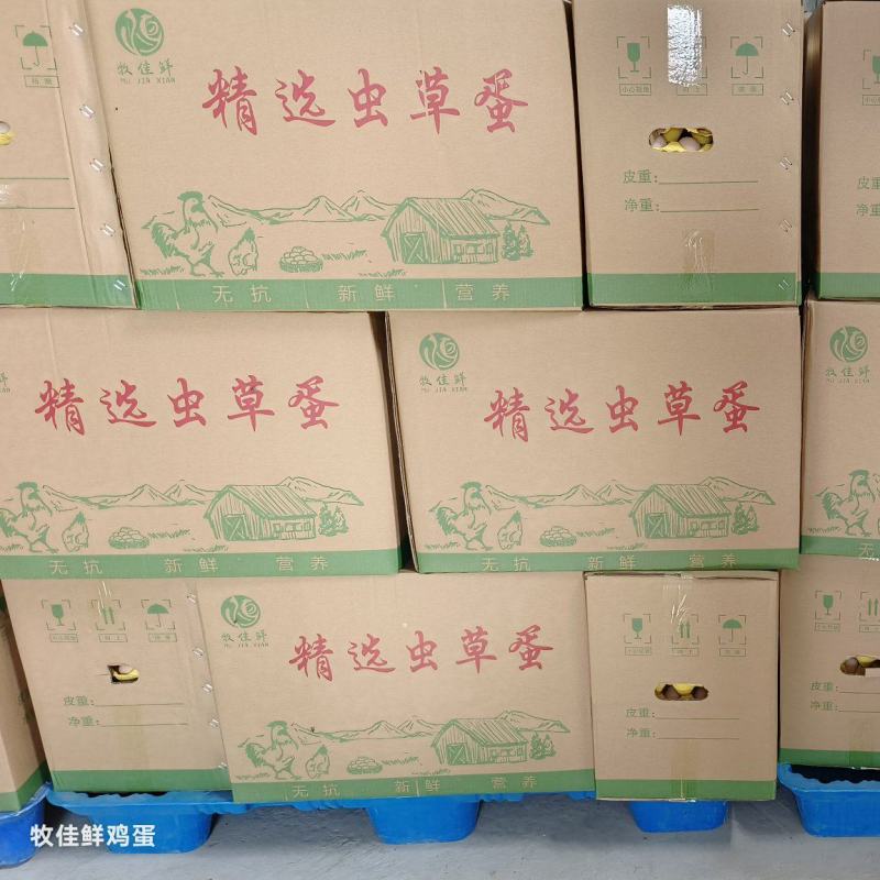 虫草蛋，检测证书，双色到位