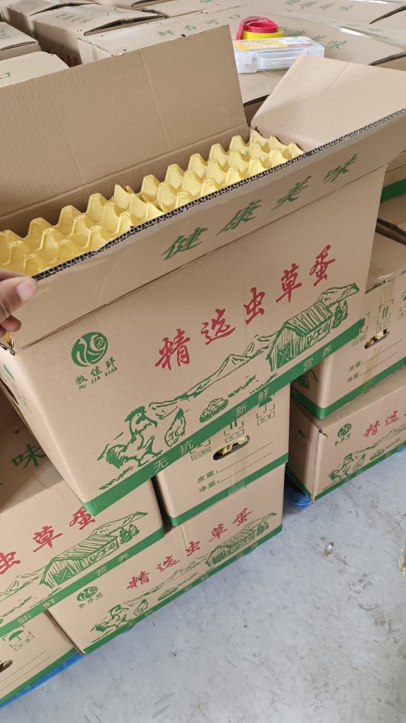 虫草蛋，检测证书，双色到位