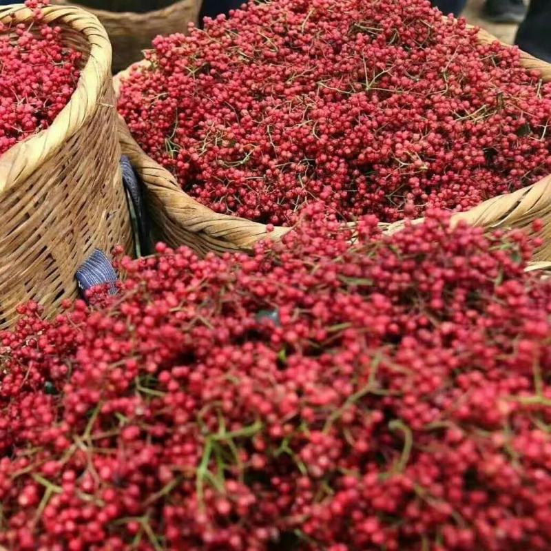 鲜花椒