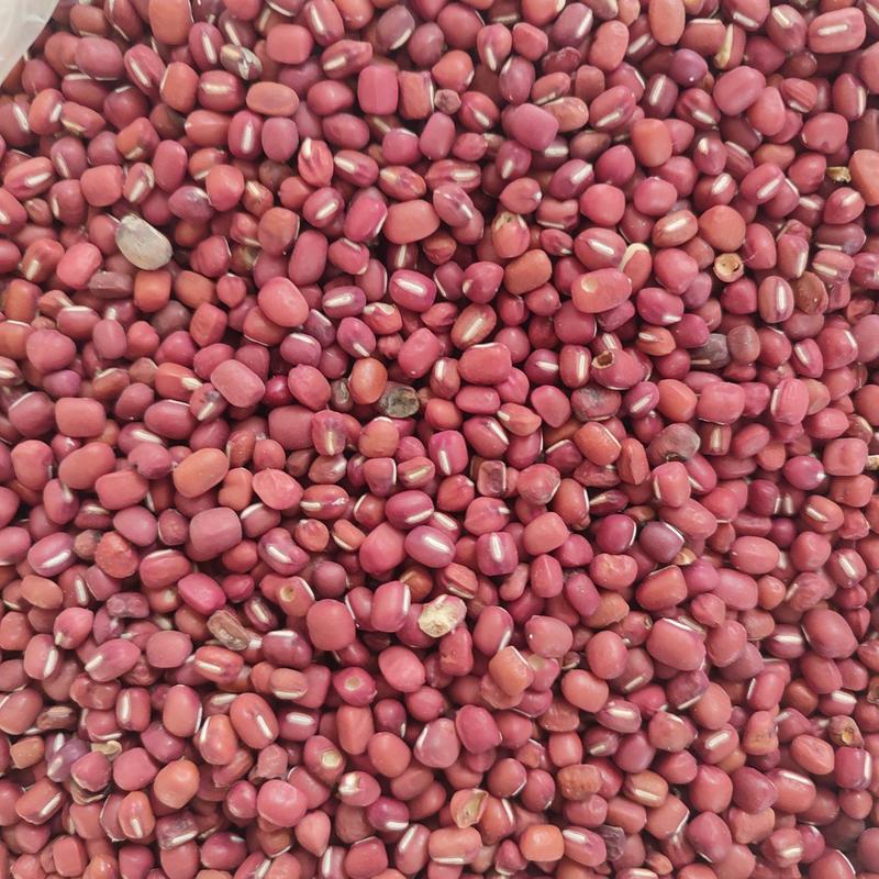 红小豆2023年新货质量保证产地直发