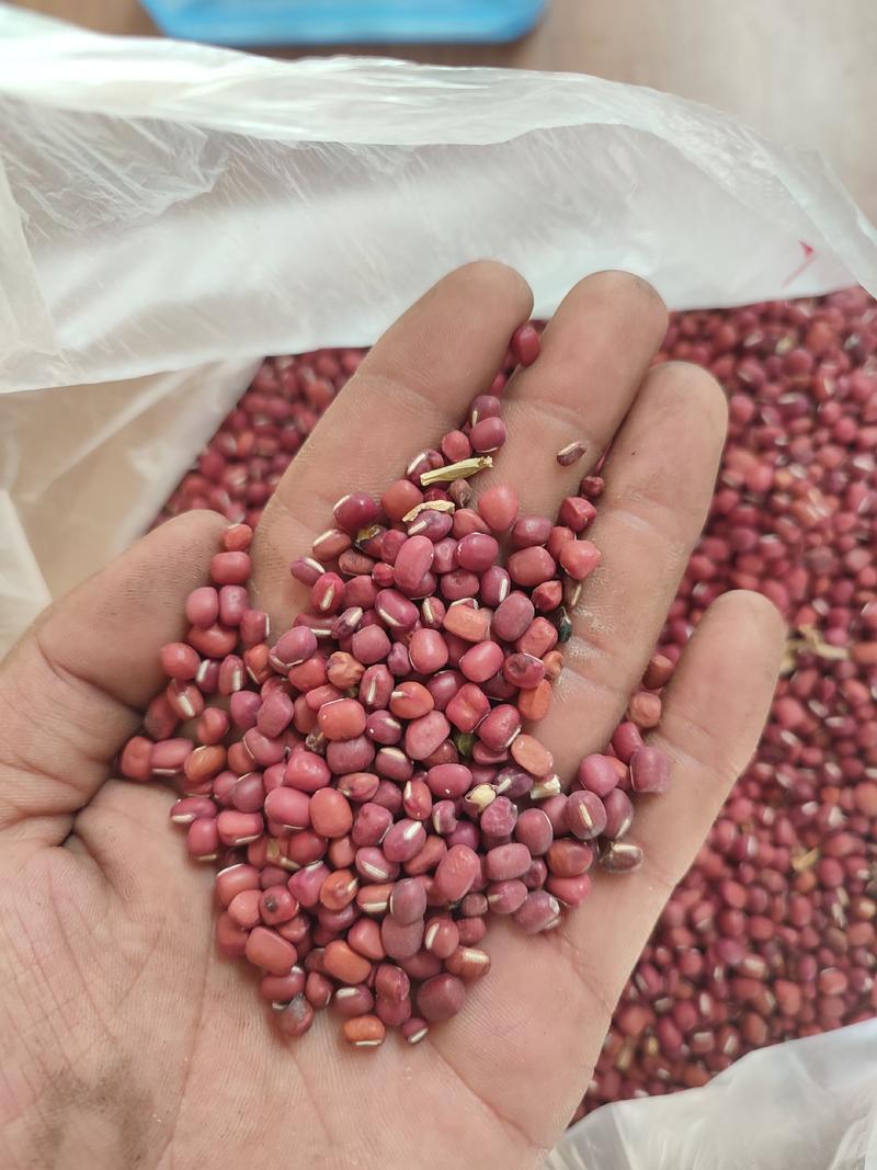 红小豆2023年新货质量保证产地直发