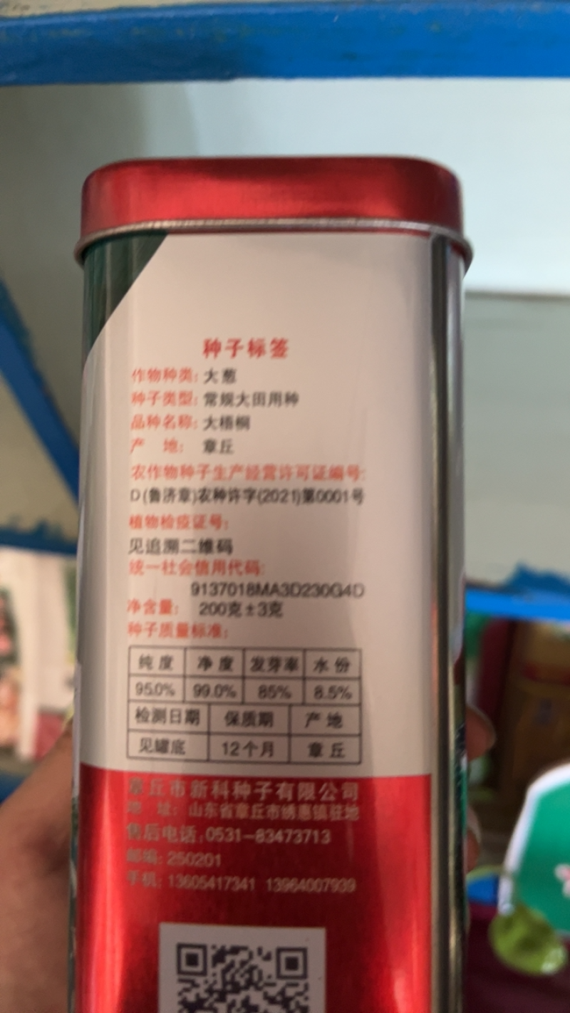 原装进口刚葱铁杆葱四季种植免费技术指导厂家直销