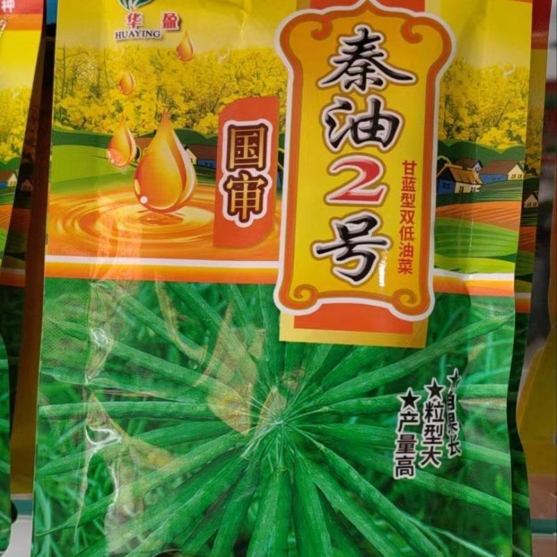 国审200g秦油二号油菜种子三月黄油菜种子郑靓油油菜