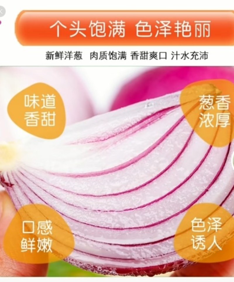 洋葱
