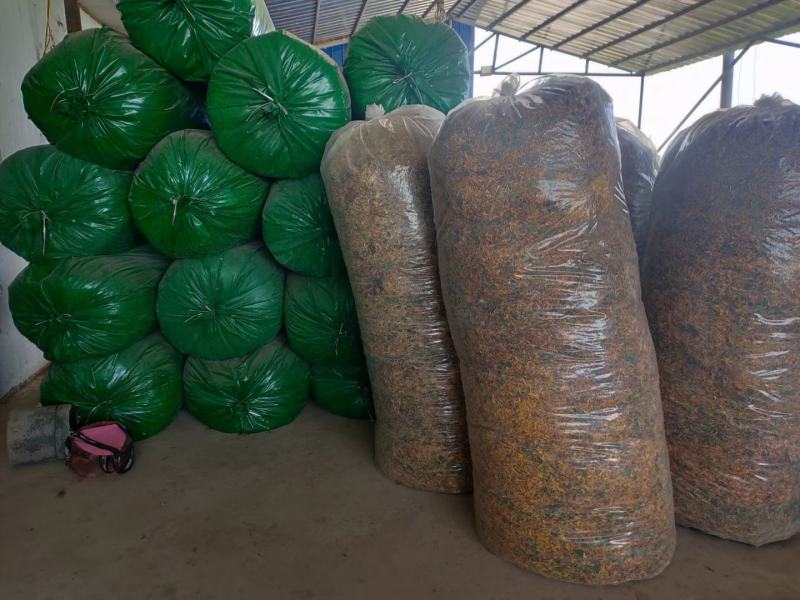 中药材金银花