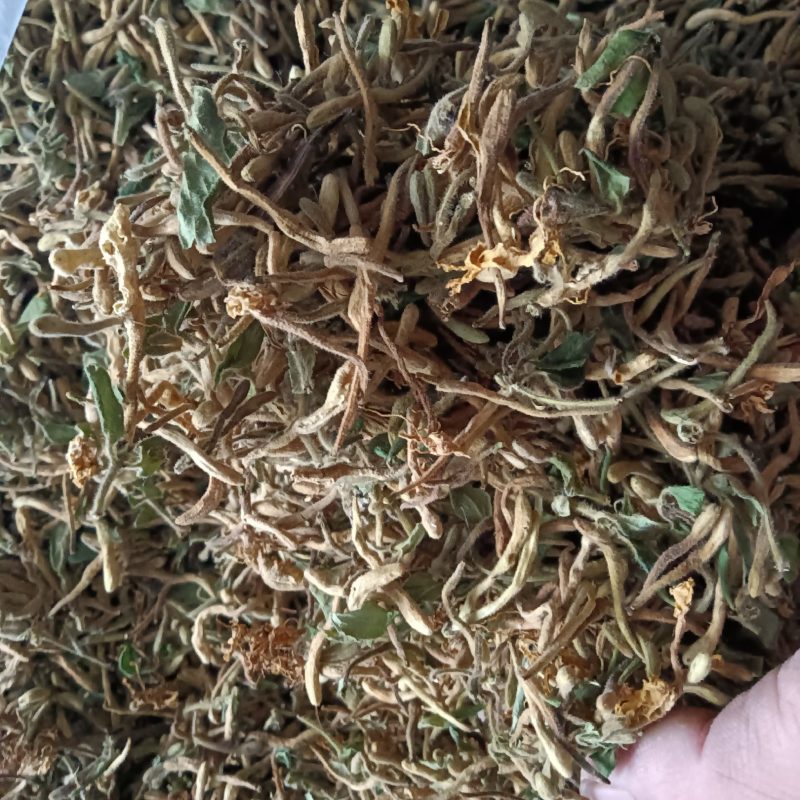 金银花2023年新货非种植色泽好