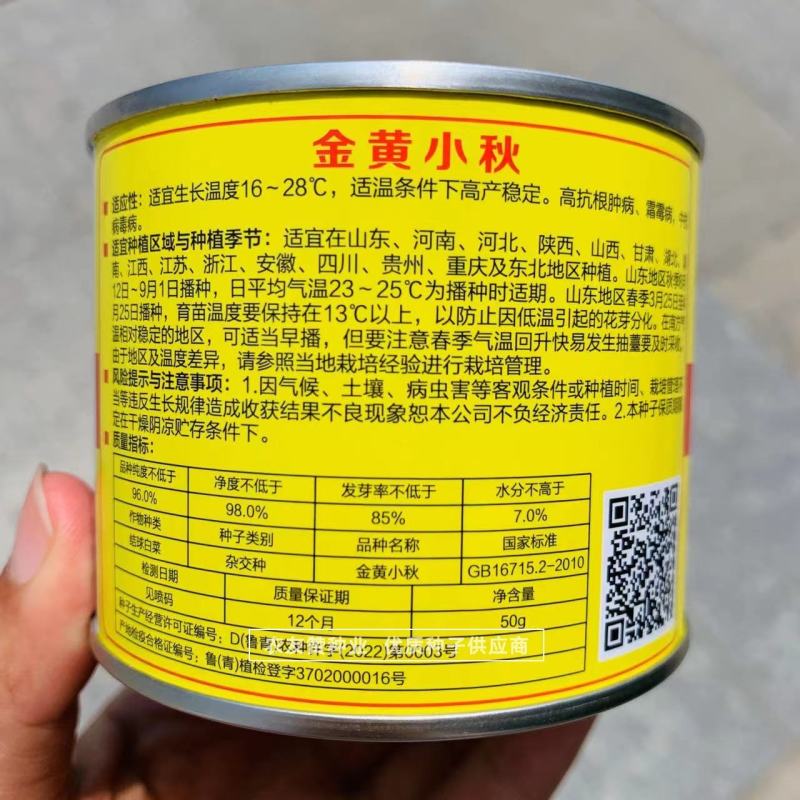 早熟黄心白菜种子青硕金黄小秋白菜种子内芯鲜黄大白菜种子