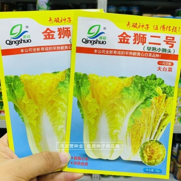 早熟小狮头翻黄心白菜种子优质小狮头白菜种子蔬菜基地专用