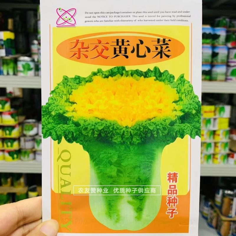 正宗黄心菜种子直筒花心型杂交黄心菜优质黄心大白菜种子
