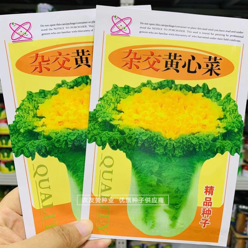 正宗黄心菜种子直筒花心型杂交黄心菜优质黄心大白菜种子