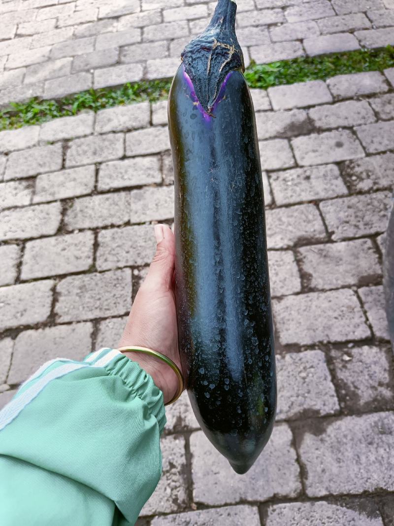 烧烤茄