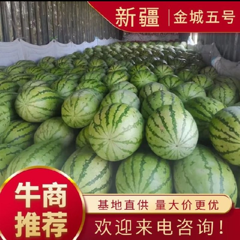 西瓜